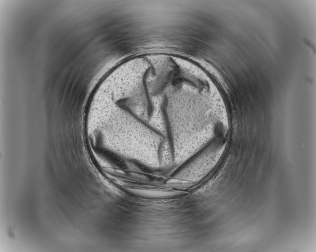 X0000095881333200802081045