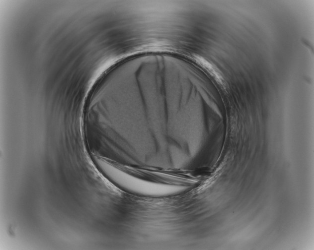 X0000095881334200802081045