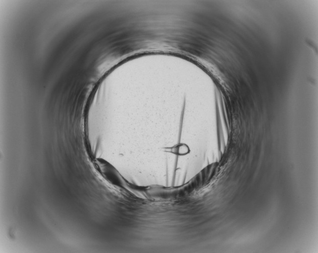 X0000095881335200802081045