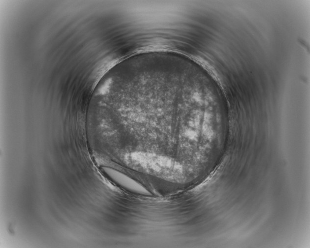 X0000095881337200802081045