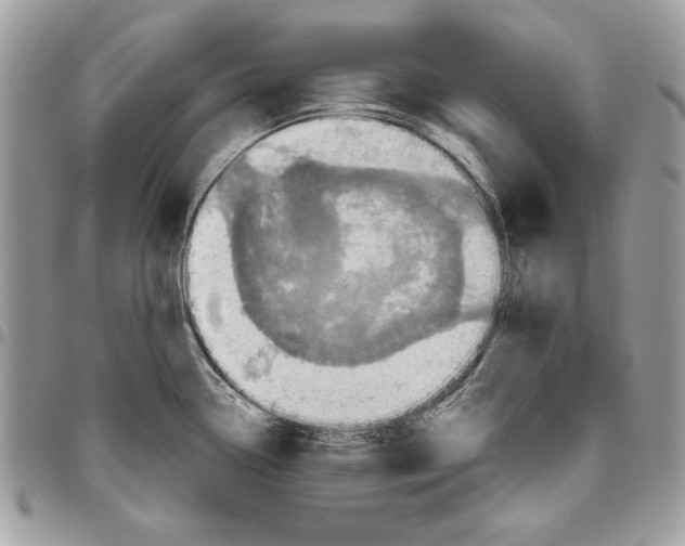 X0000095881338200802081045