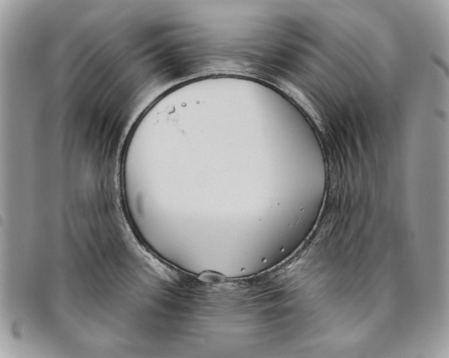 X0000095881339200802081045