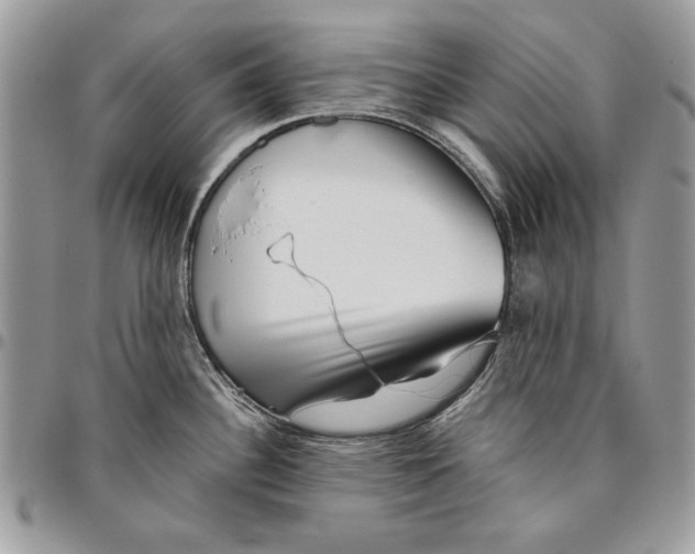 X0000095881340200802081046