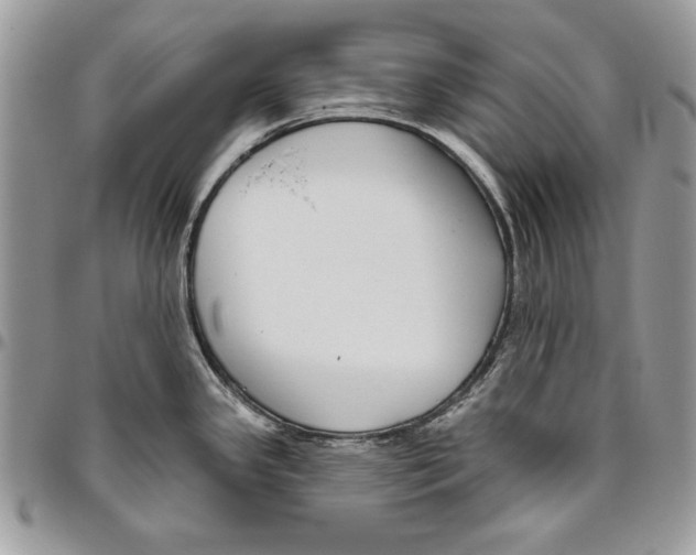 X0000095881341200802081046