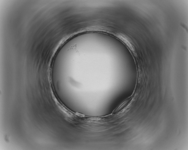 X0000095881342200802081046