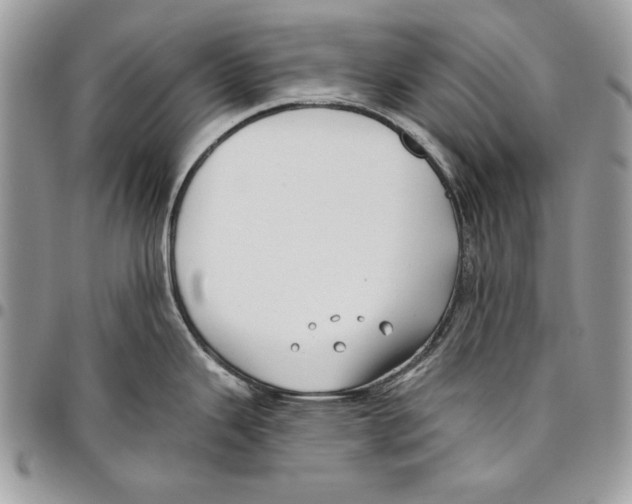 X0000095881343200802081046