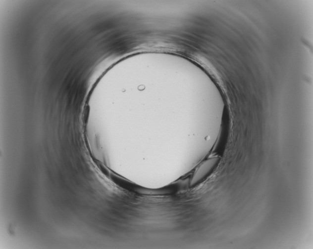 X0000095881344200802081046