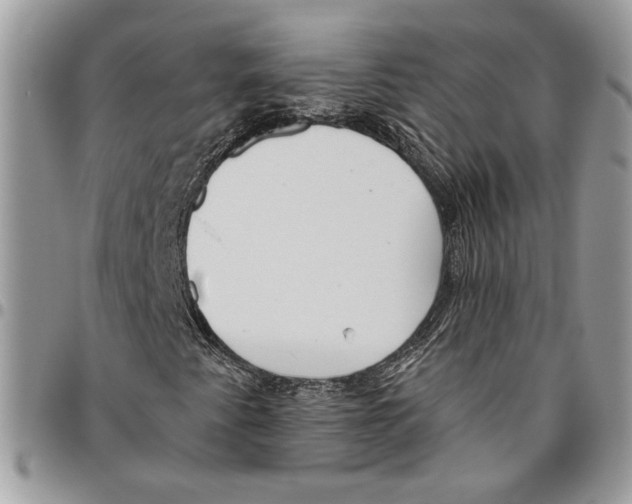 X0000095881345200802081045