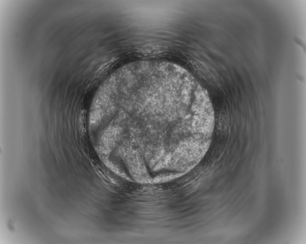 X0000095881346200802081045