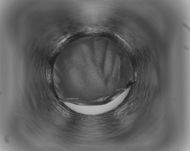 X0000095881348200802081045