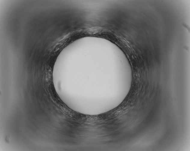 X0000095881349200802081045