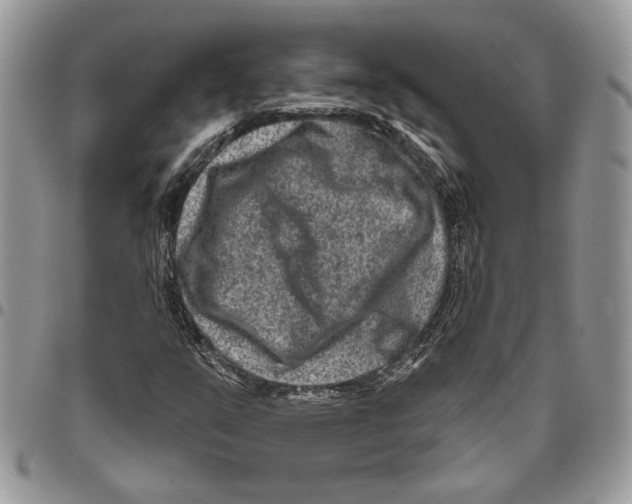 X0000095881351200802081045