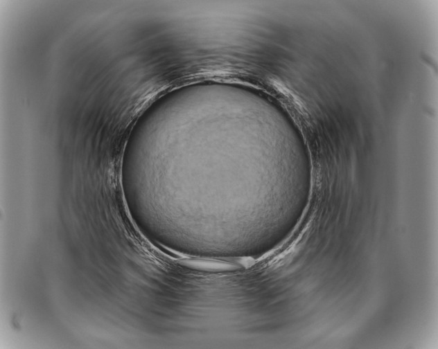 X0000095881353200802081045