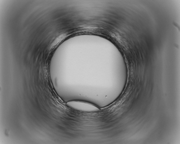 X0000095881354200802081045