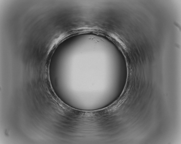 X0000095881357200802081045