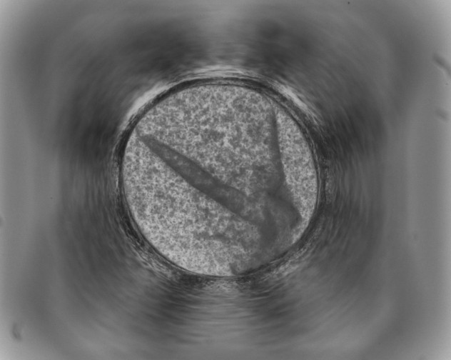 X0000095881358200802081045