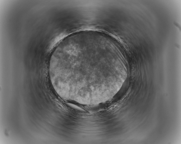 X0000095881359200802081045