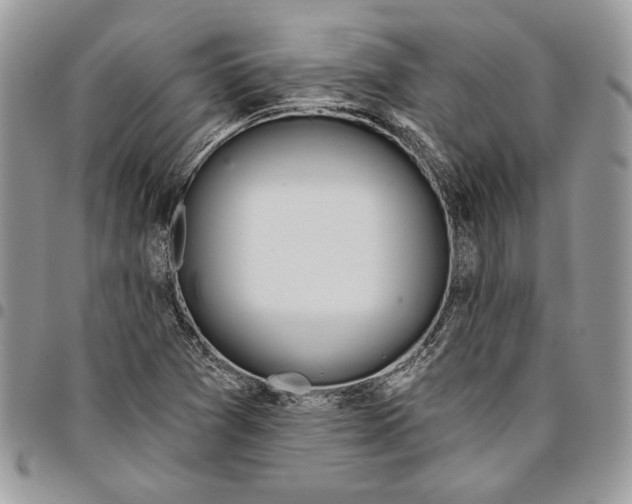 X0000095881361200802081045