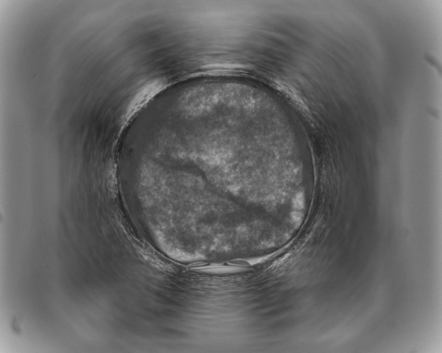 X0000095881362200802081045