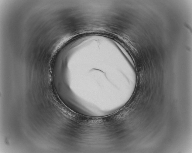 X0000095881363200802081045