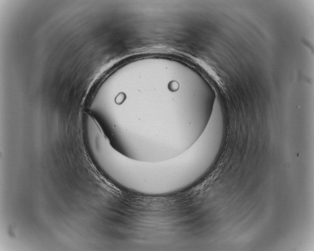 X0000095881364200802081045