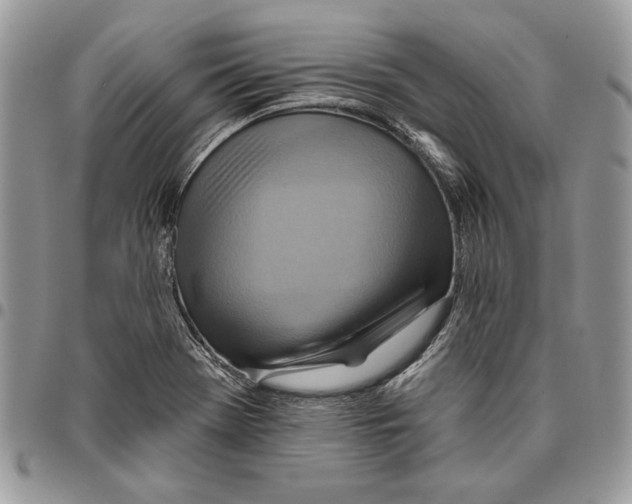 X0000095881369200802081045