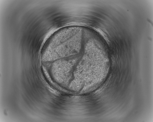 X0000095881371200802081045