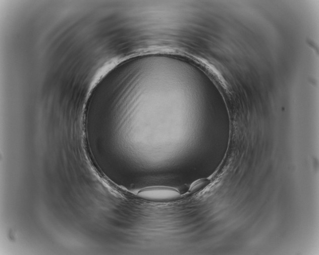 X0000095881373200802081045