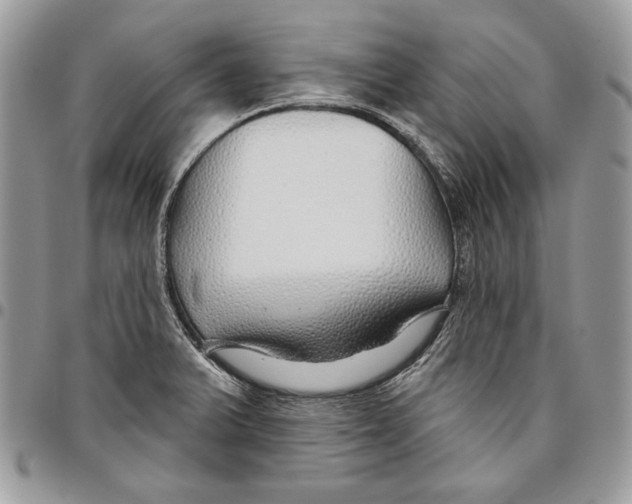 X0000095881375200802081045