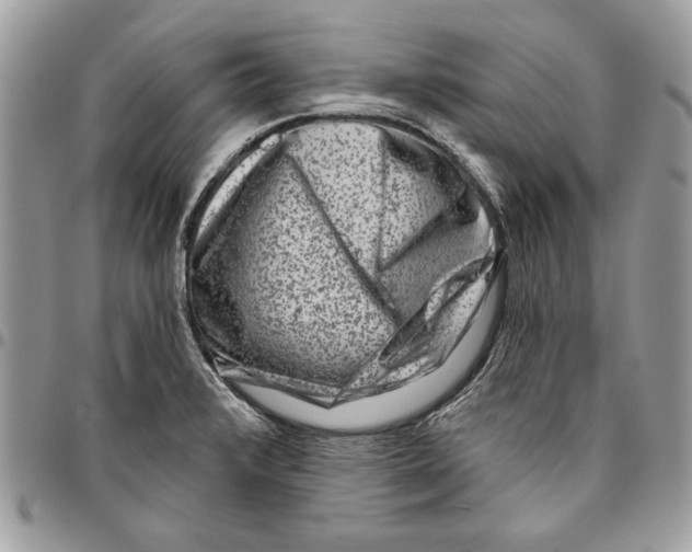 X0000095881376200802081044