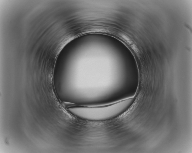 X0000095881377200802081044