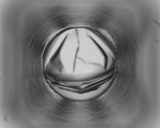 X0000095881380200802081044