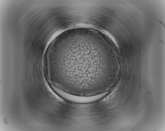 X0000095881381200802081044