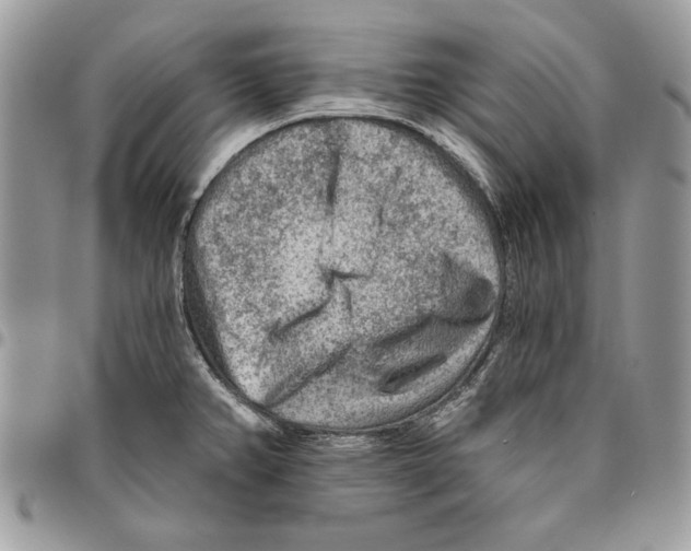 X0000095881382200802081044