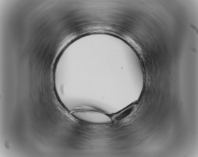 X0000095881384200802081044