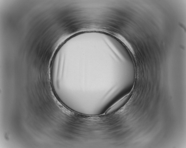 X0000095881388200802081044