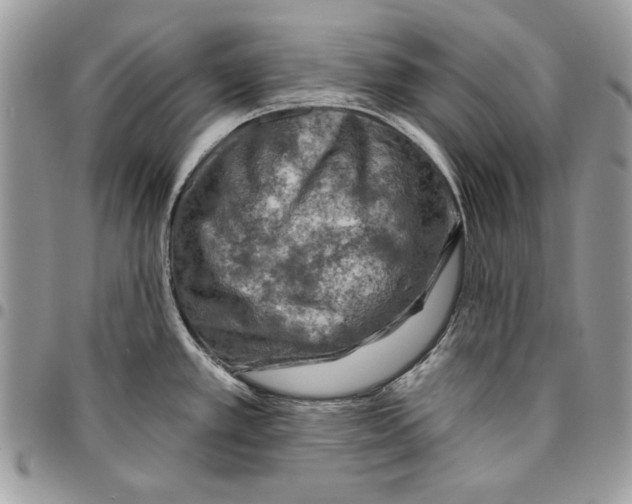 X0000095881389200802081044