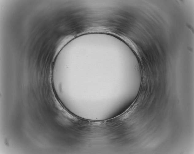 X0000095881390200802081044