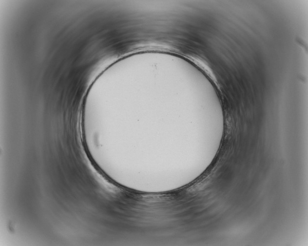 X0000095881391200802081044