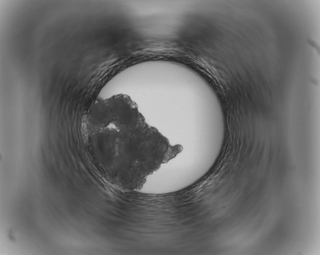 X0000095881396200802081044