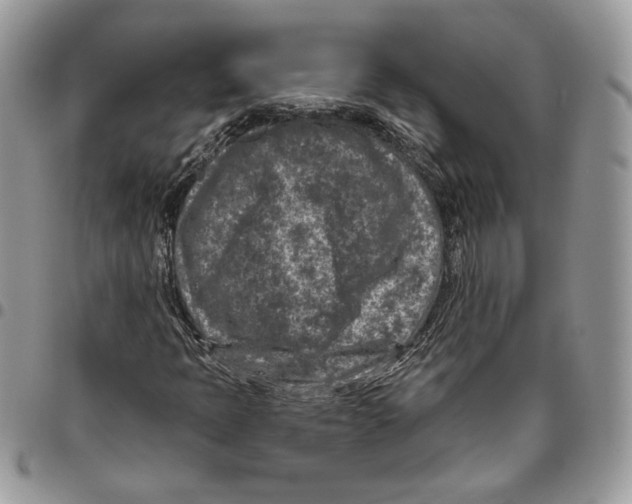 X0000095881397200802081044