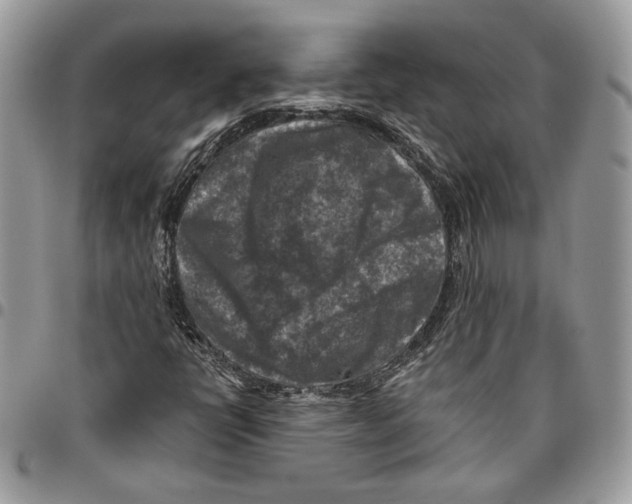 X0000095881398200802081044