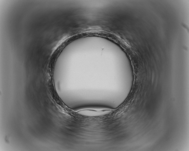 X0000095881400200802081044