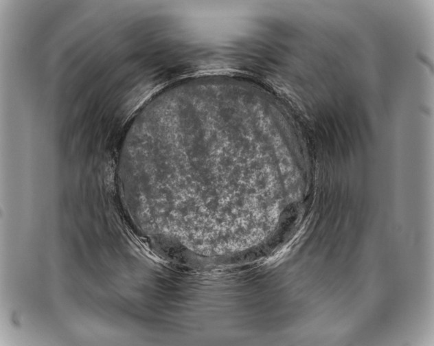 X0000095881401200802081044