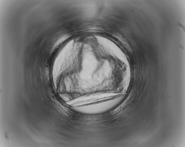 X0000095881402200802081044