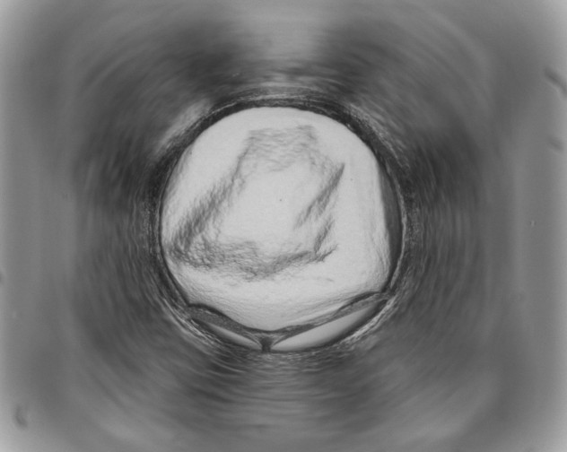 X0000095881403200802081044