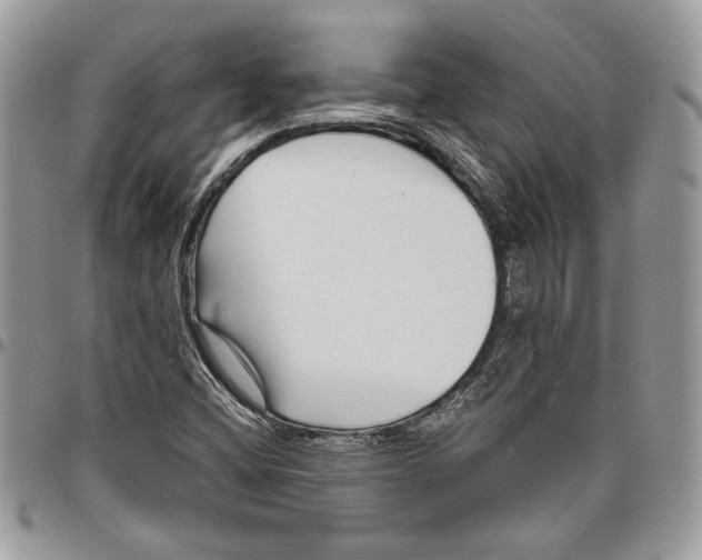 X0000095881404200802081044