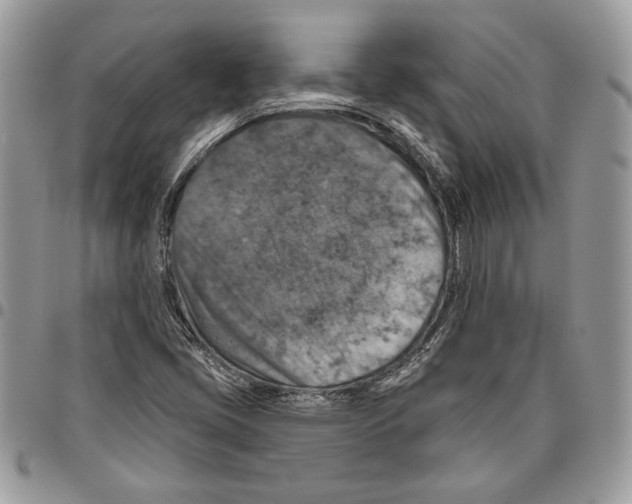 X0000095881405200802081044