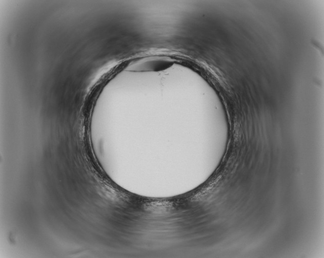 X0000095881406200802081044