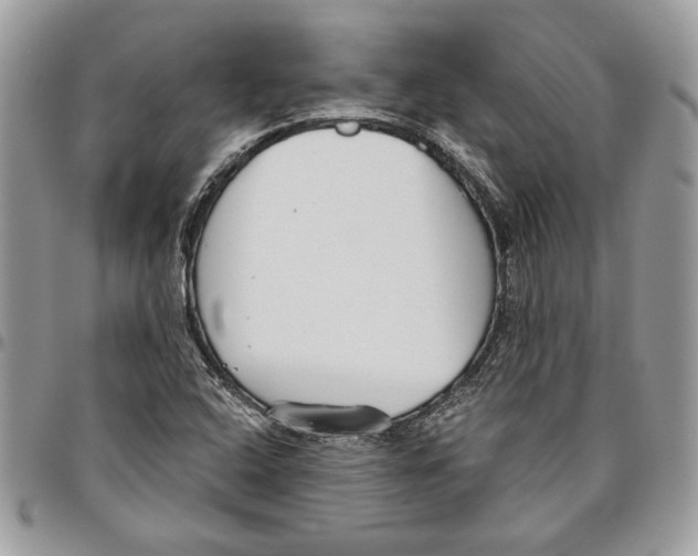 X0000095881408200802081044